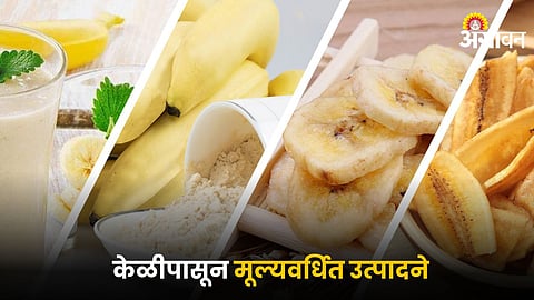 Banana Food Processing