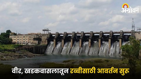 Dam