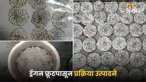 Processing Products