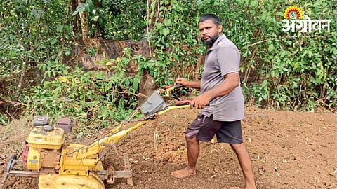 Rabi Sowing