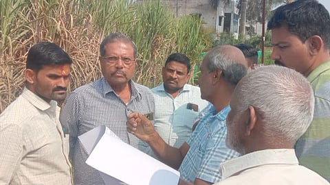 Sugarcane Rate