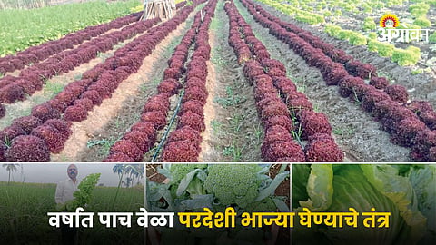 Agriculture