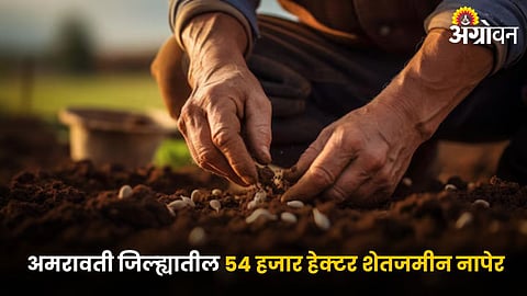 Agriculture