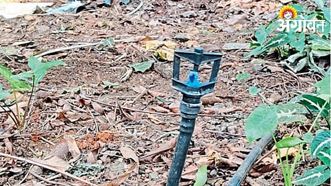 Irrigation