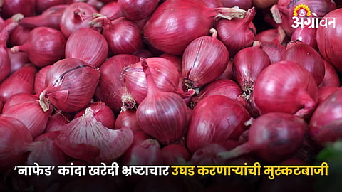 Onion