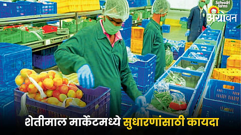 Agriculture Market