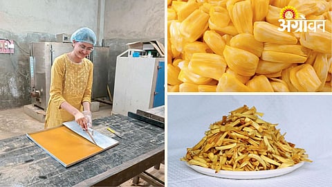 Jackfruit Processing