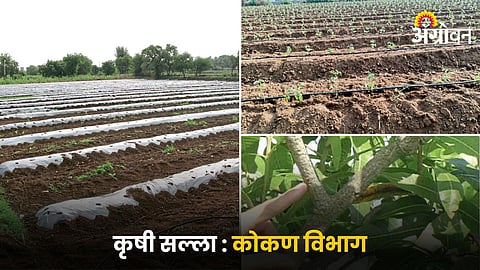 Crop Advisory