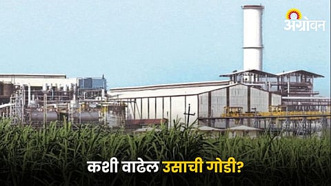 Sugarcane Factory
