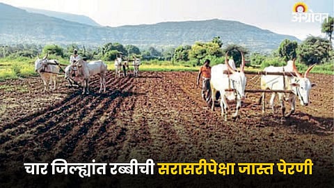 Rabi Sowing