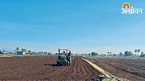 Onion Cultivation