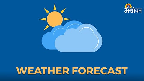 Weather Forecast