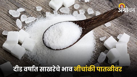 Sugar