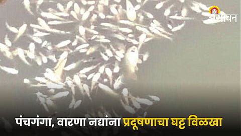 River Pollution