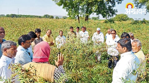 Agriculture News
