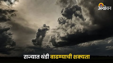 Weather
