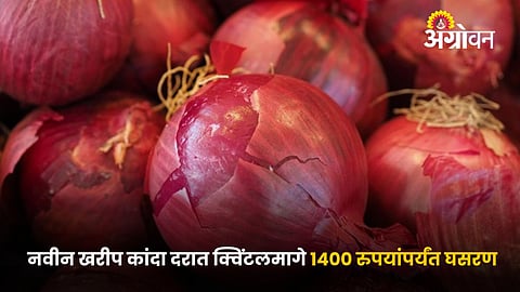 Onion