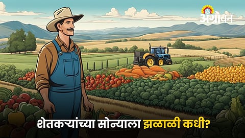 Indian Farmer