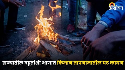 Maharashtra Cold Wave