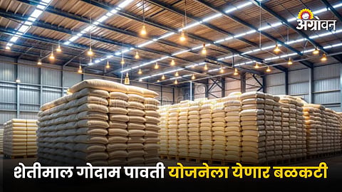 Agriculture Warehouse