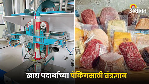 Food Packaging Technology