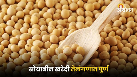 Soybean Procurement