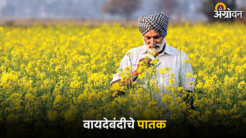 Agriculture Promises