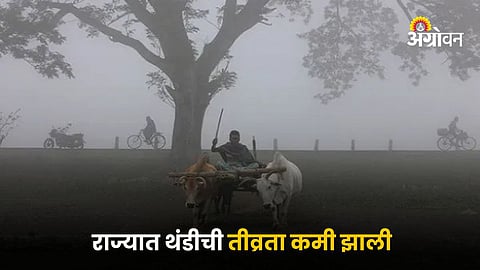 Winter Season