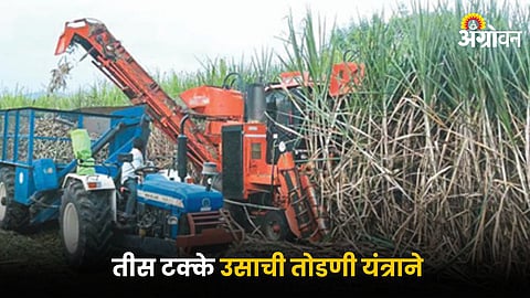Sugarcane Harvest Machine