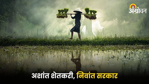 Indian Farmer