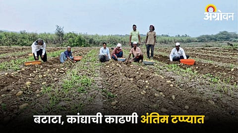 Agriculture Harvesting