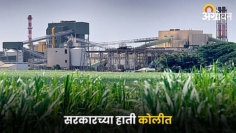 Sugar Industry