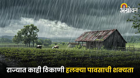 Rainy Weather