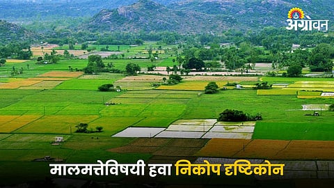 Agriculture Land