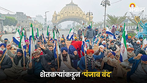 Farmer Protest