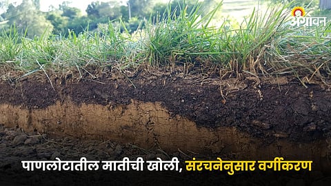 Soil Depth