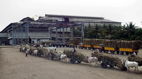 Maharashtra Sugar Industries