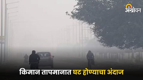 Maharashtra Cold Wave