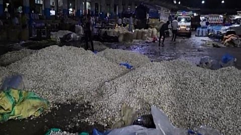 Garlic Rate
