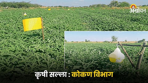 Agriculture