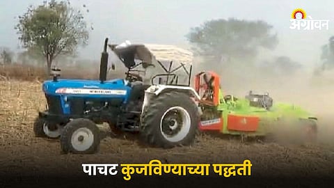 Agricultural Waste