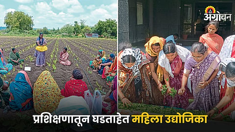 Women Skill Development