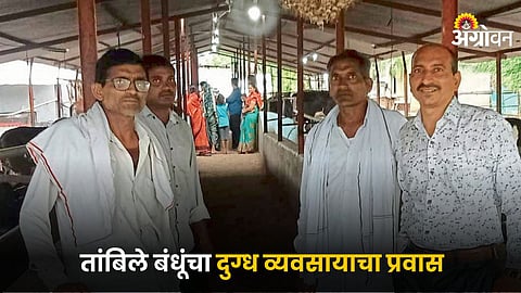 Dairy Farming