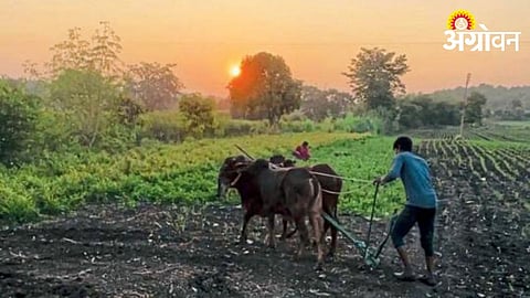 Indian Agriculture