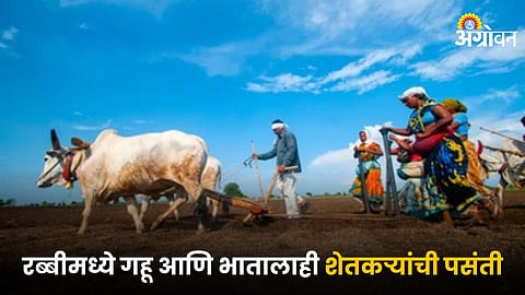 Rabi Sowing