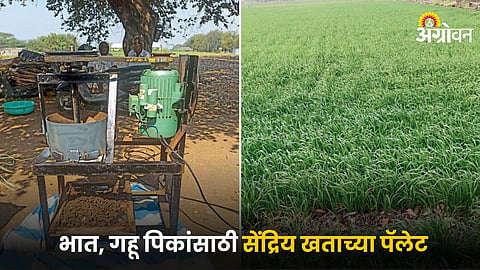 Organic Farming