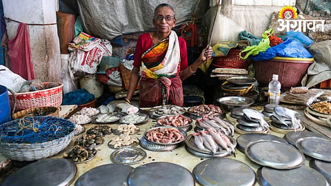Fish Market