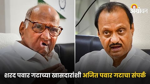 Sharad vs Ajit Pawar