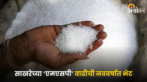 Sugar Industry