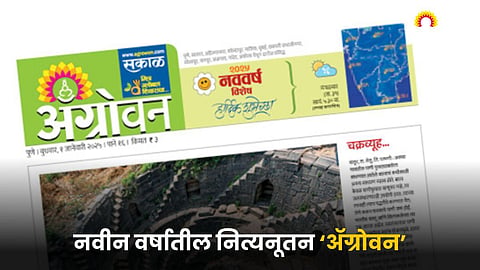 Agrowon Newspaper